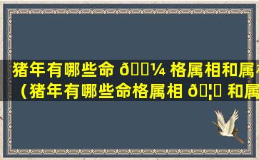 猪年有哪些命 🌼 格属相和属相（猪年有哪些命格属相 🦈 和属相相配）